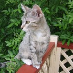 Young Grum, all healed up and inspecting the world