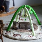 Grum rests on Xander's Totoro infant play mat