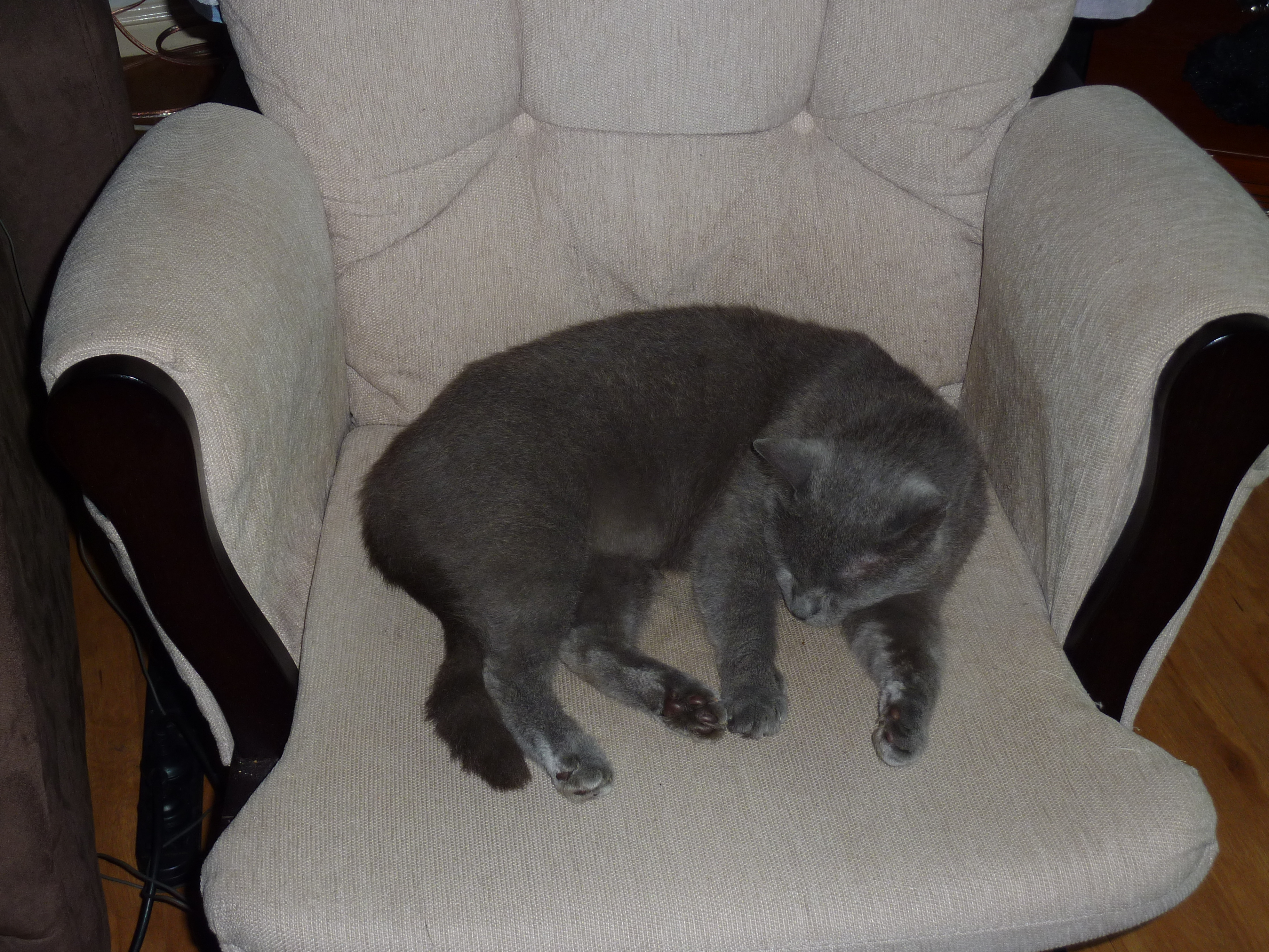 rocking chair – Storybook Perfect