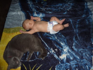 Baron napping with 3 month old Xander (for anyone worried, no I never left them unattended like that, I was always writing right beside them when they napped like this)