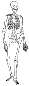 source: Wikimedia commons